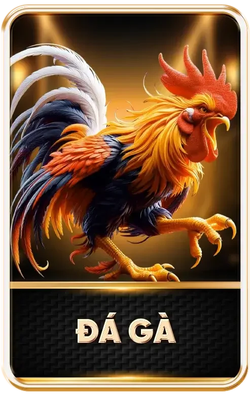 KING88 - Link Nhà Cái KING88.COM Chính Thức Mới Nhất 2025 da ga